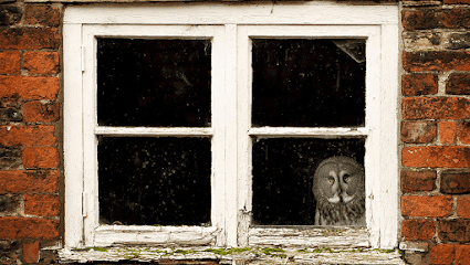Wise Mortgages